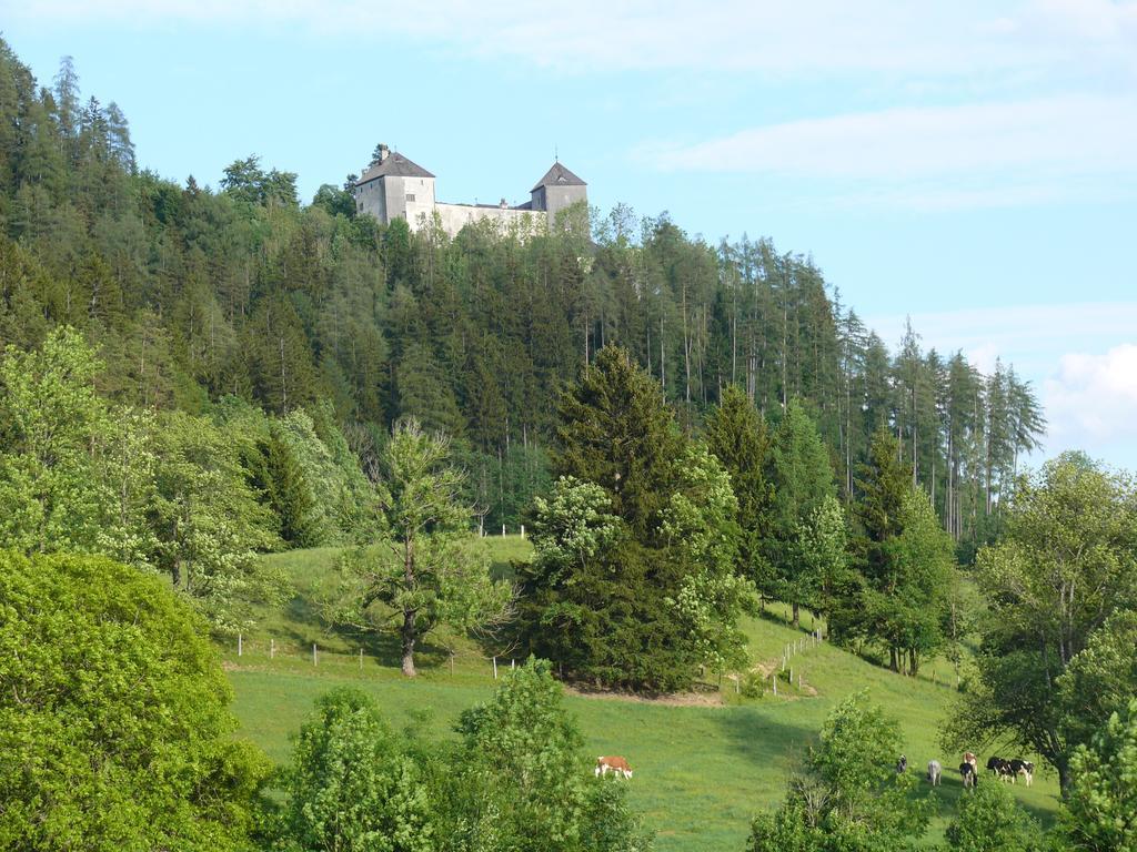 Gasthof Hubertus Зальфельден Номер фото